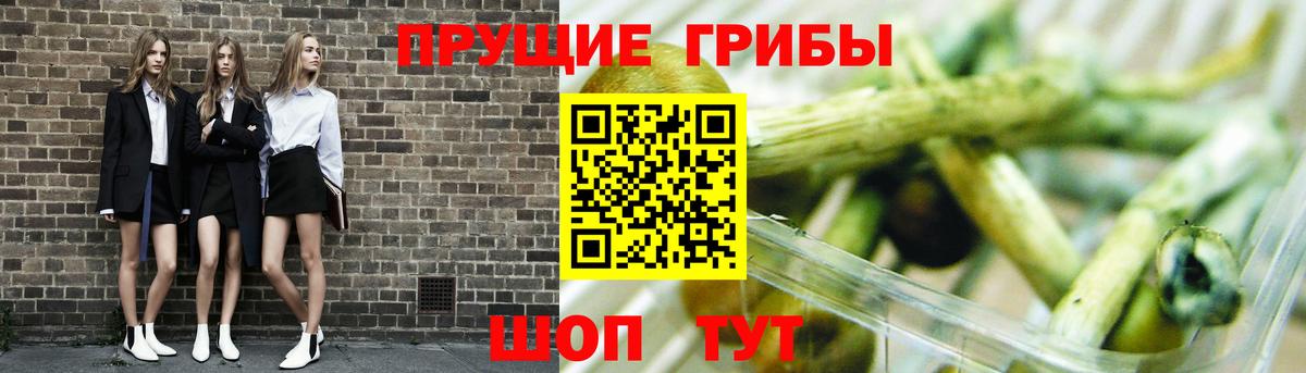 Псилоцибиновые грибы Cubensis  Вход с VPN  Скопин 